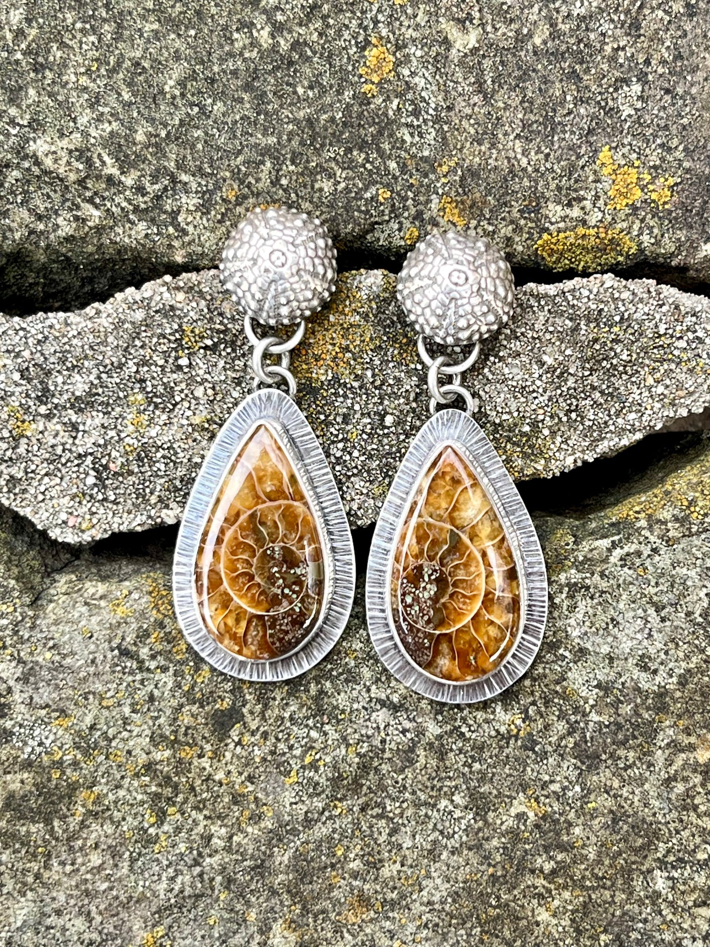 Ammonite Fossil Drop Earring