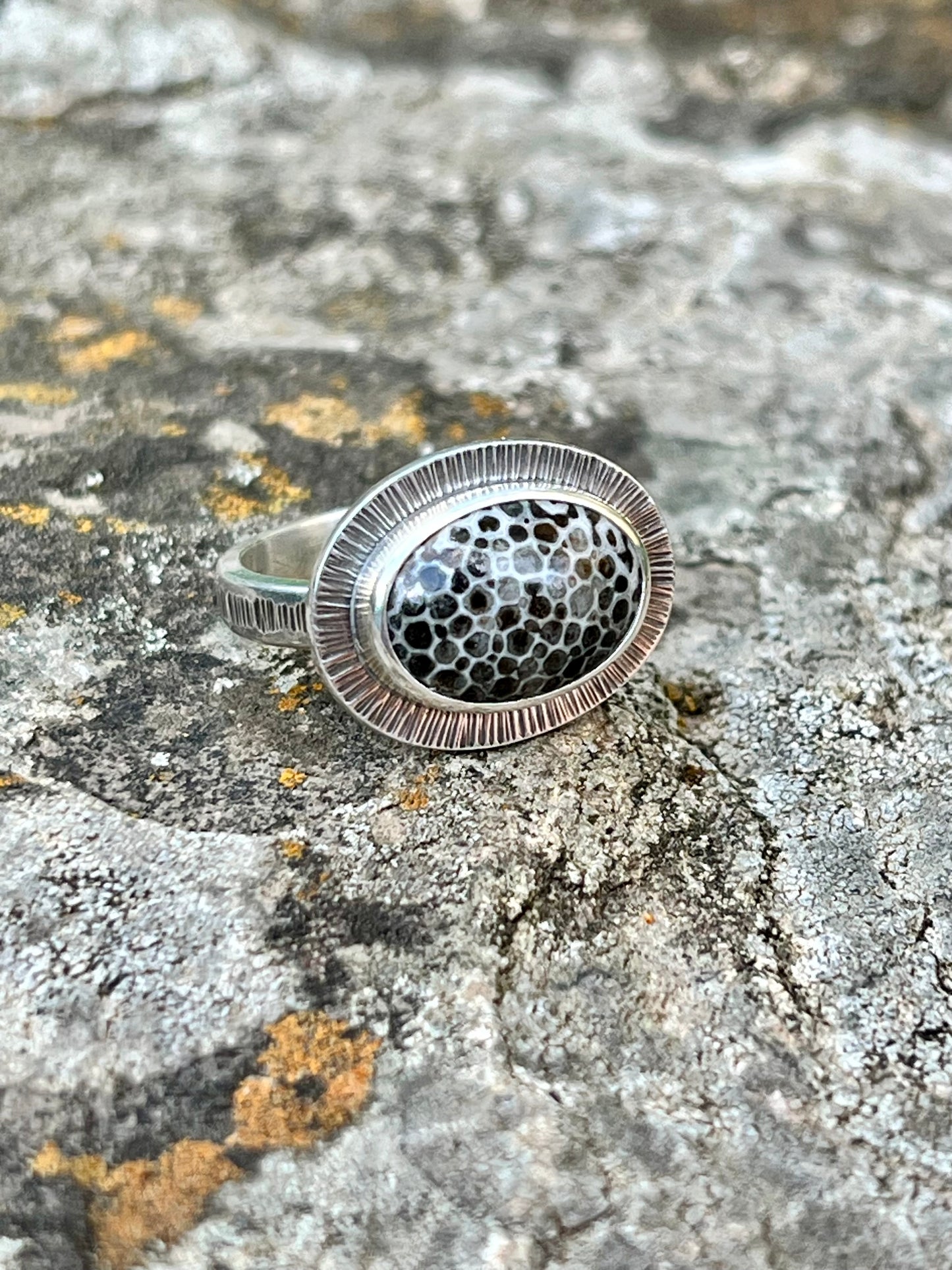 Oval Black Fossil Coral Ring