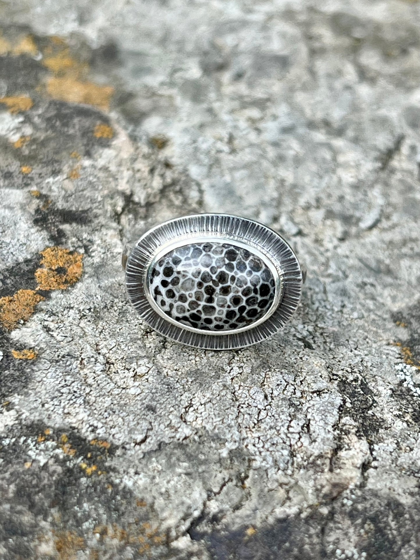 Oval Black Fossil Coral Ring
