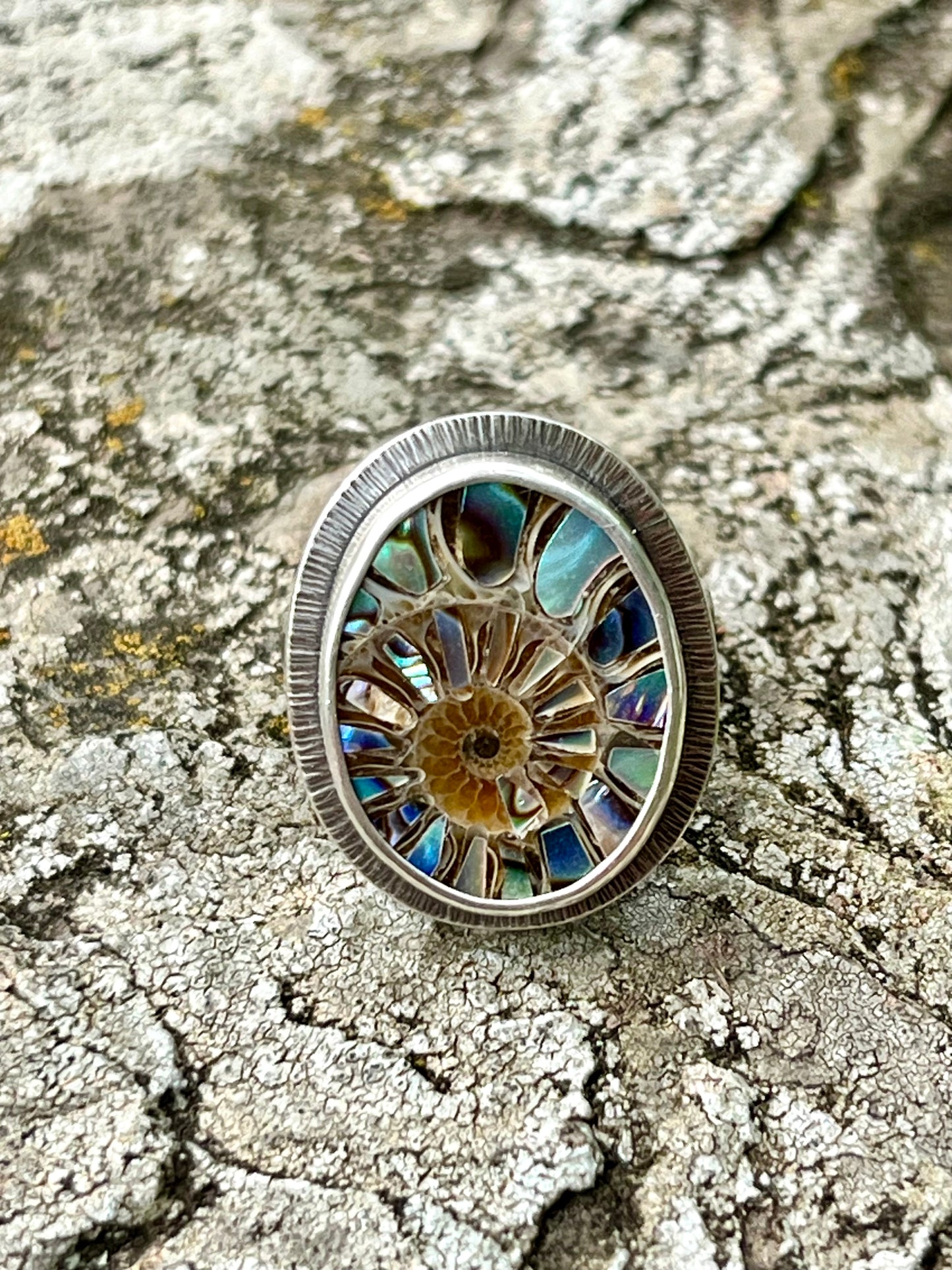 Ammonite with Abalone Inlay Ring