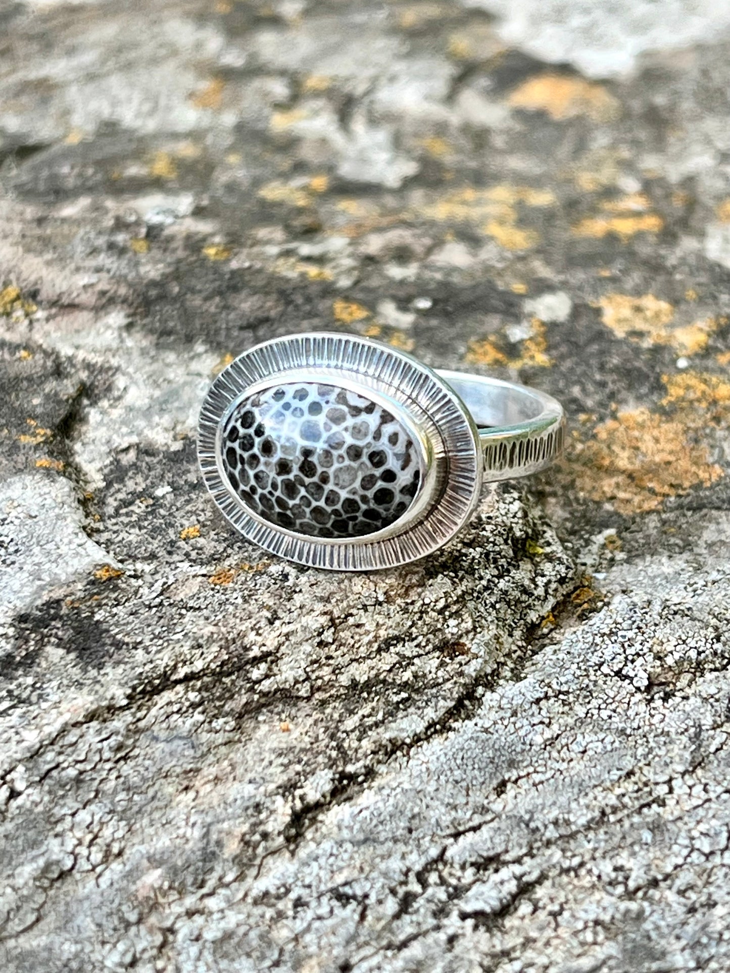 Oval Black Fossil Coral Ring