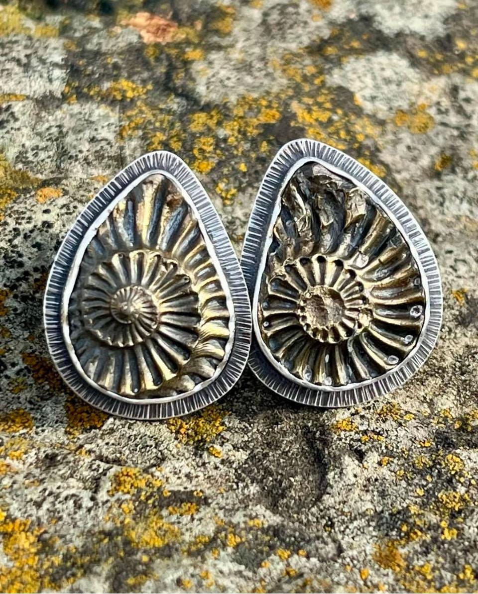 Pyritized Ammonite Negative Earrings
