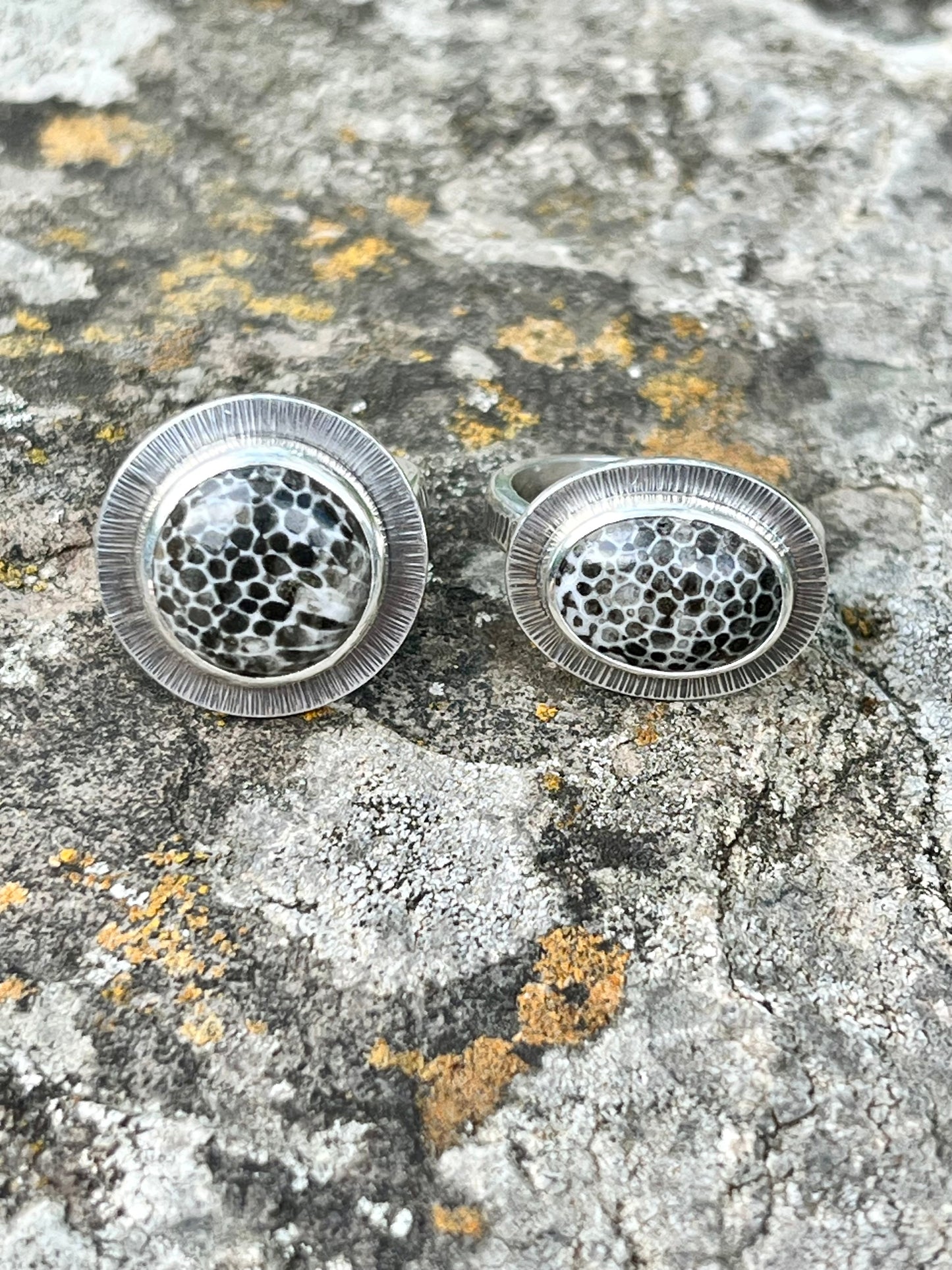 Oval Black Fossil Coral Ring
