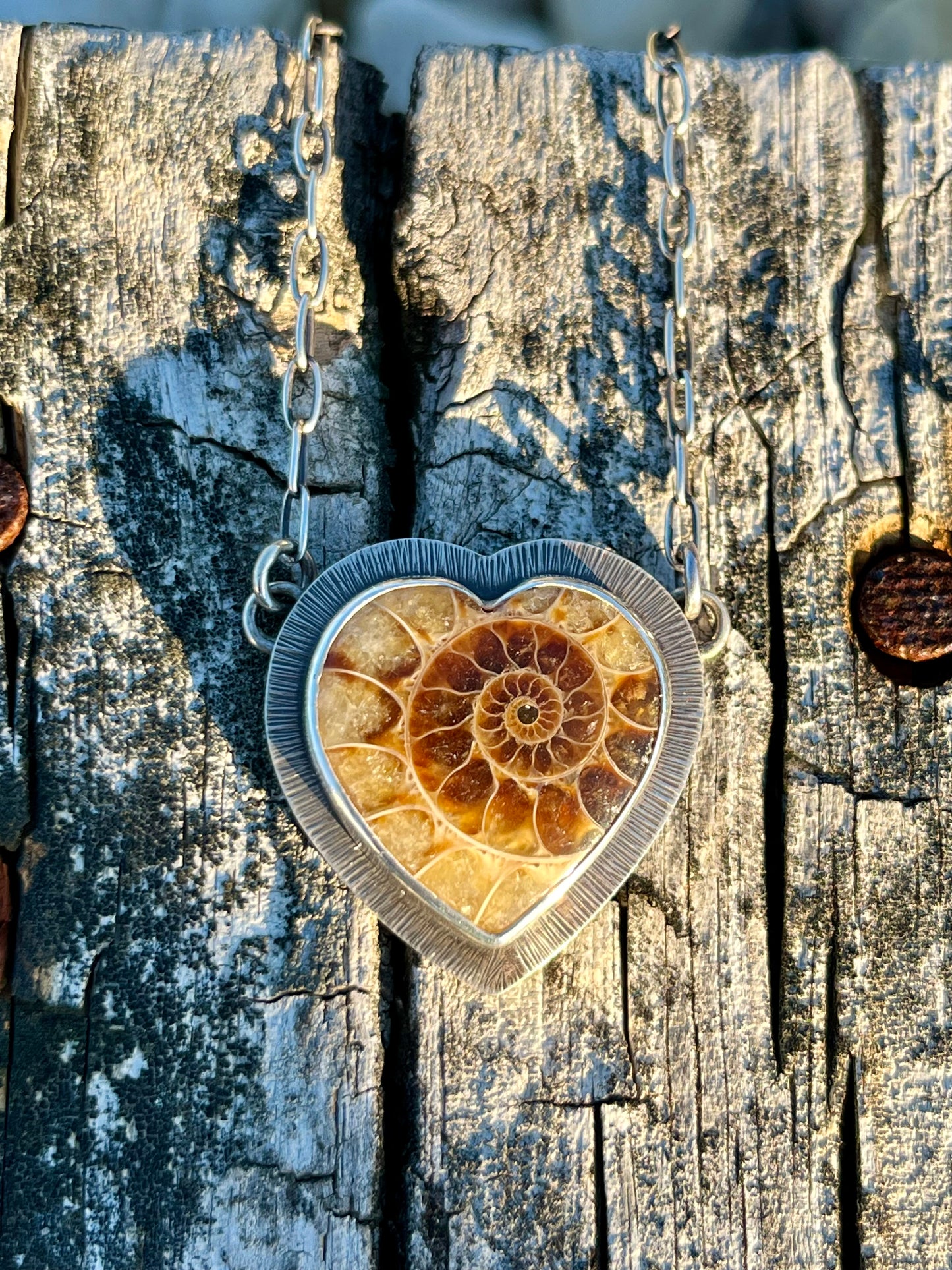 Ammonite Fossil Heart Necklace