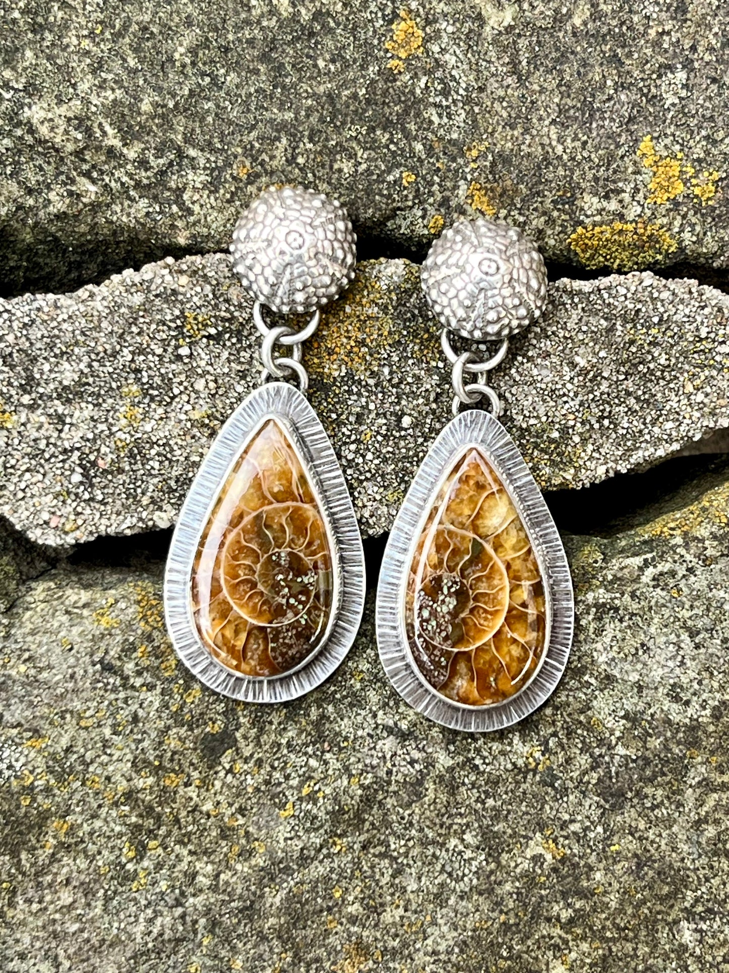 Ammonite Fossil Drop Earring