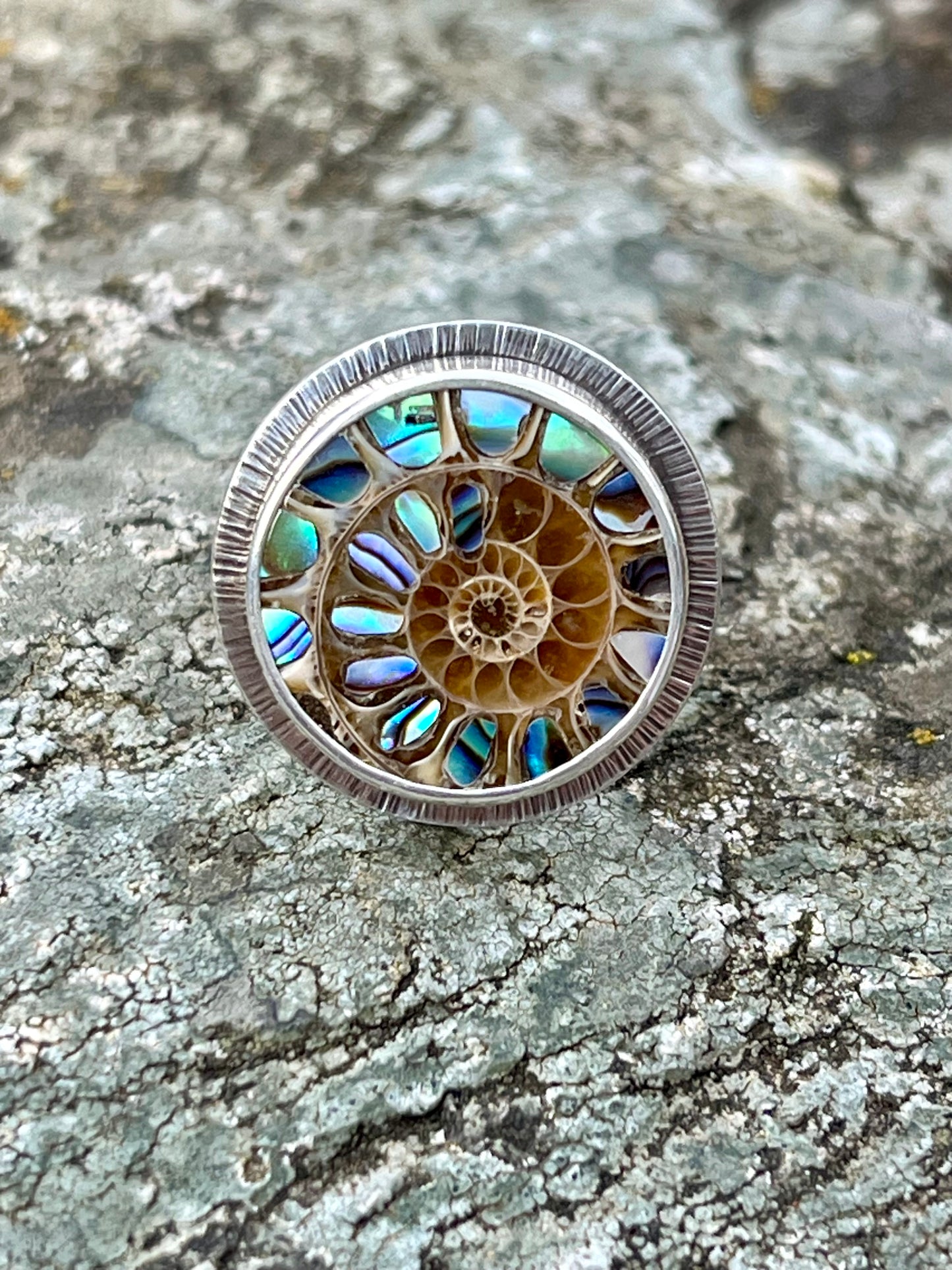 Ammonite with Abalone Inlay Ring