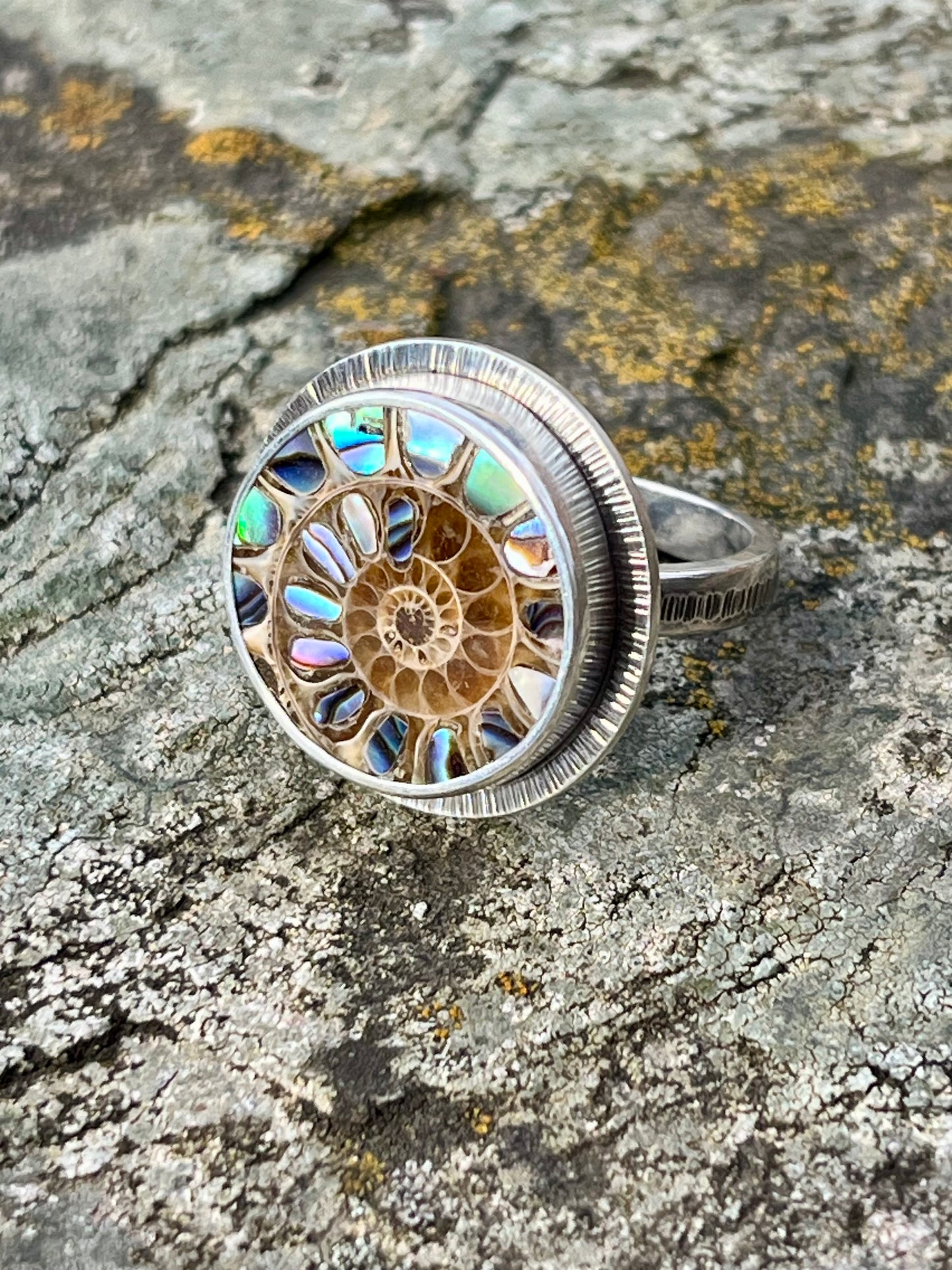 Ammonite with Abalone Inlay Ring