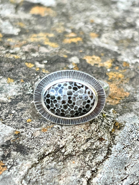Oval Black Fossil Coral Ring