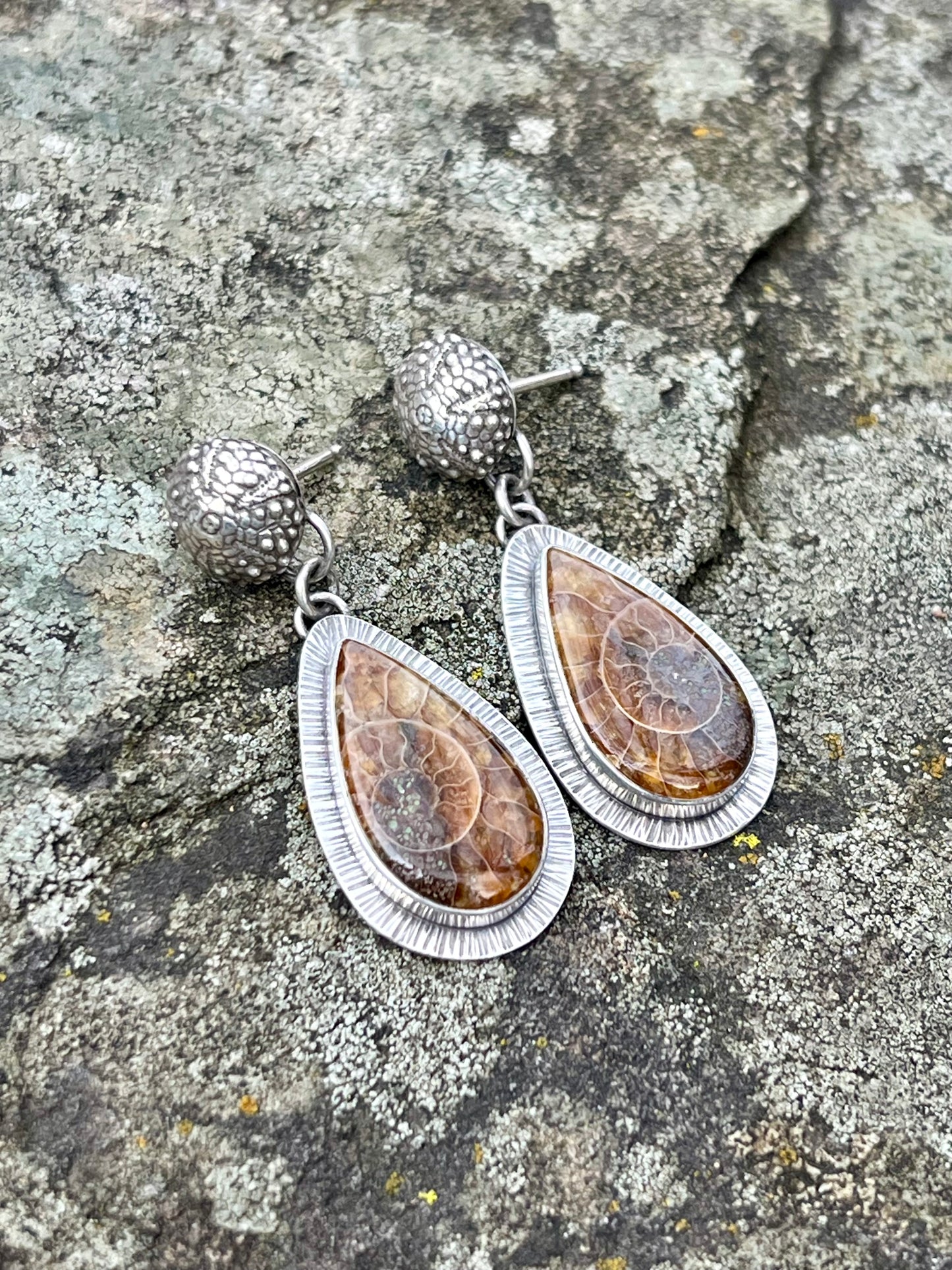 Ammonite Fossil Drop Earring