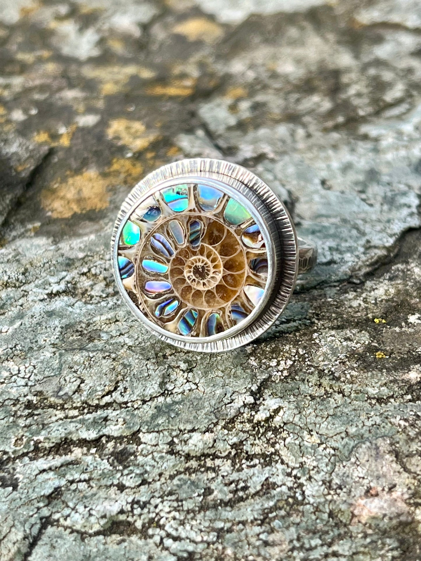 Ammonite with Abalone Inlay Ring