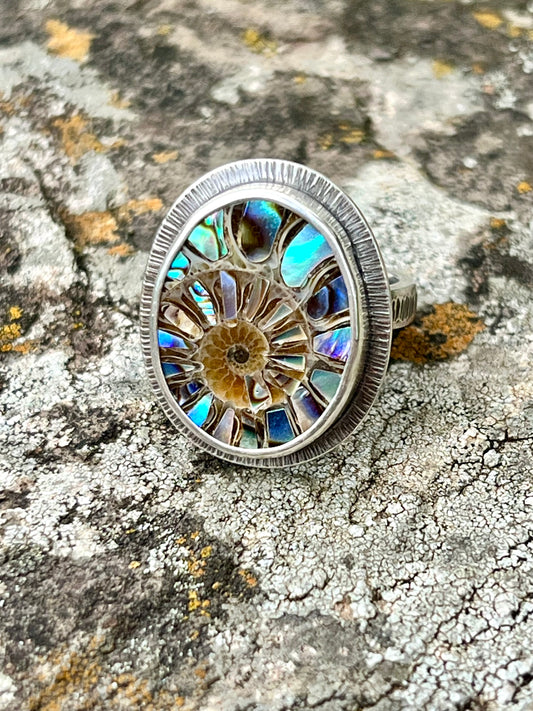 Ammonite with Abalone Inlay Ring