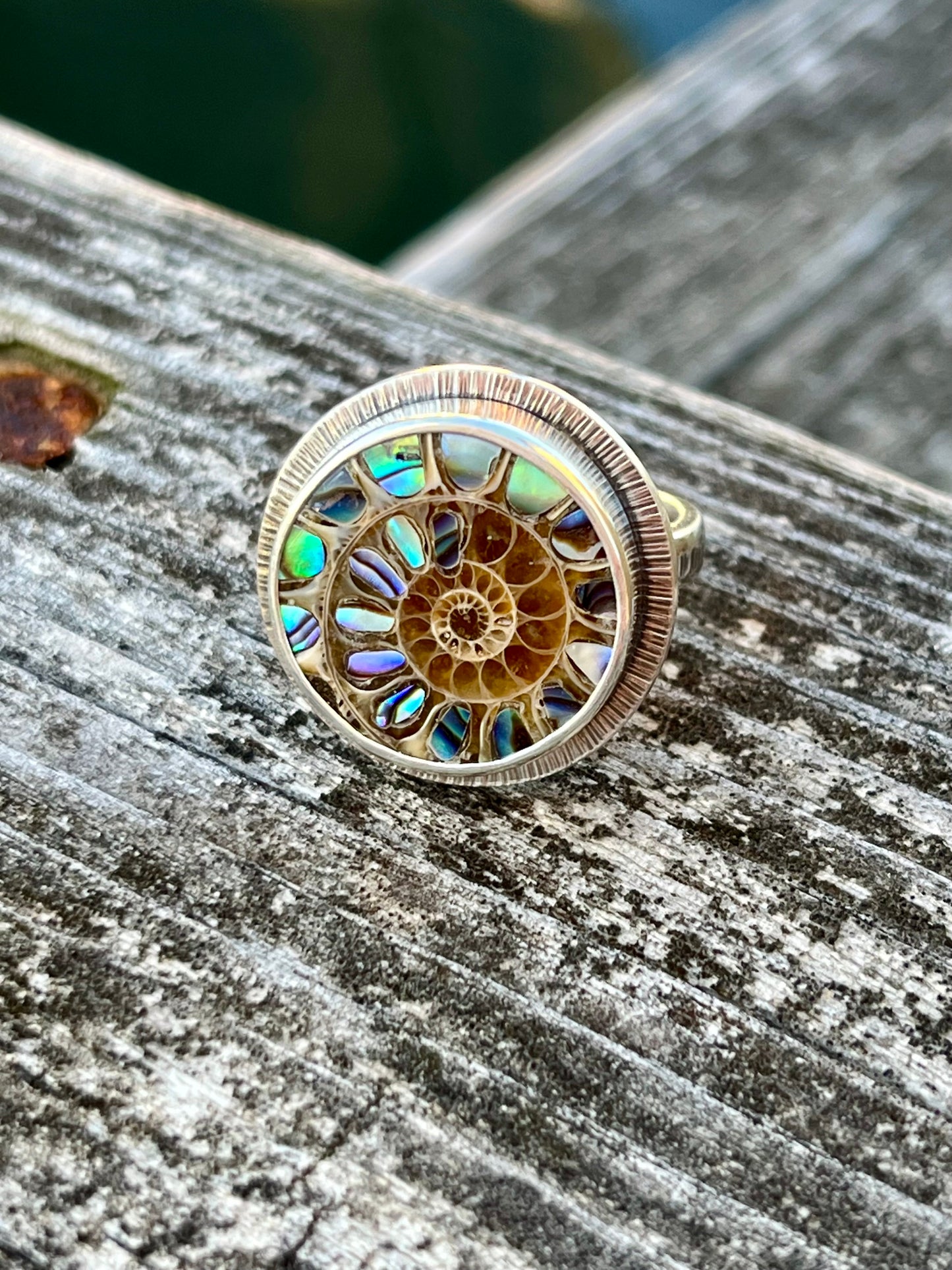 Ammonite with Abalone Inlay Ring