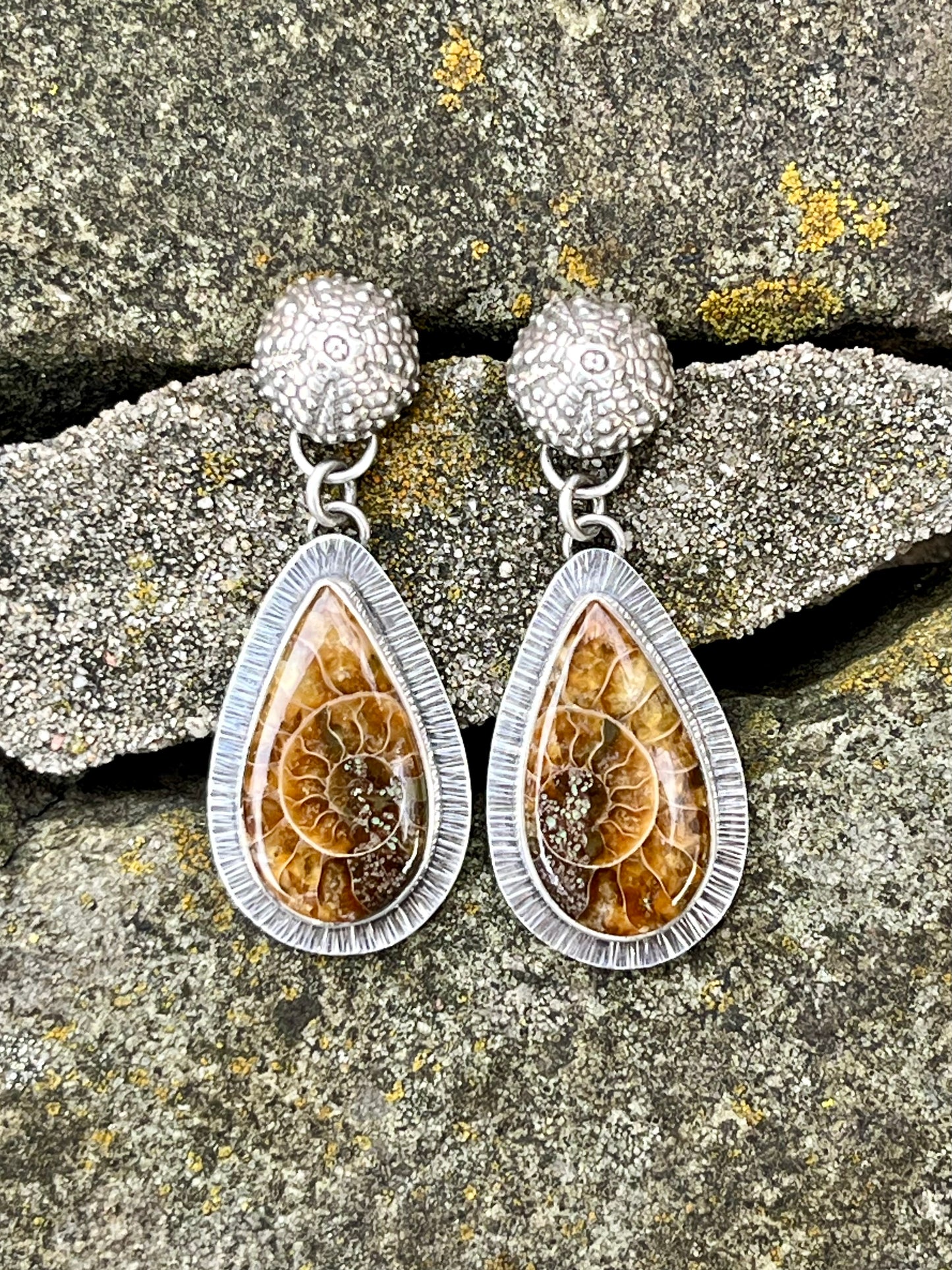 Ammonite Fossil Drop Earring