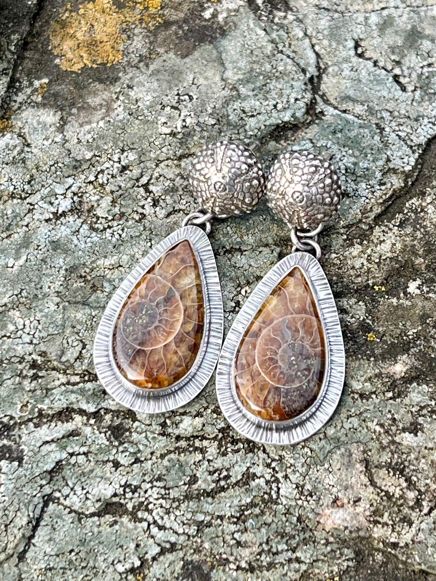 Ammonite Fossil Drop Earring