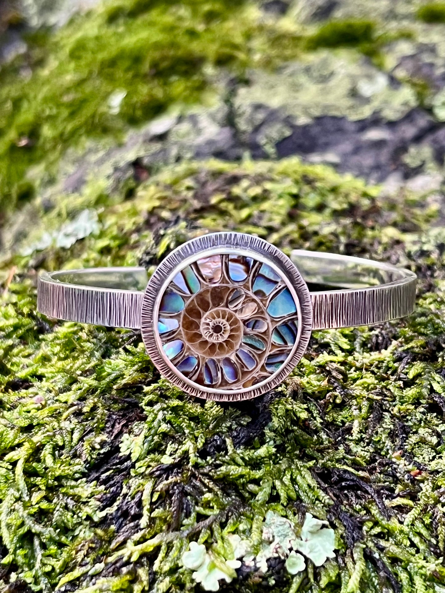 Ammonite with Abalone Inlay Cuff