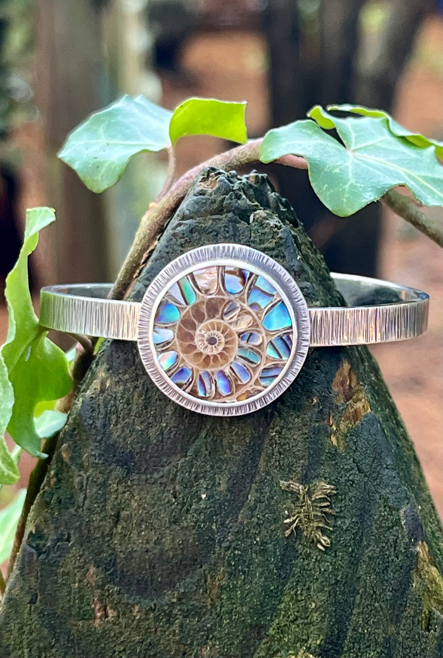 Ammonite with Abalone Inlay Cuff