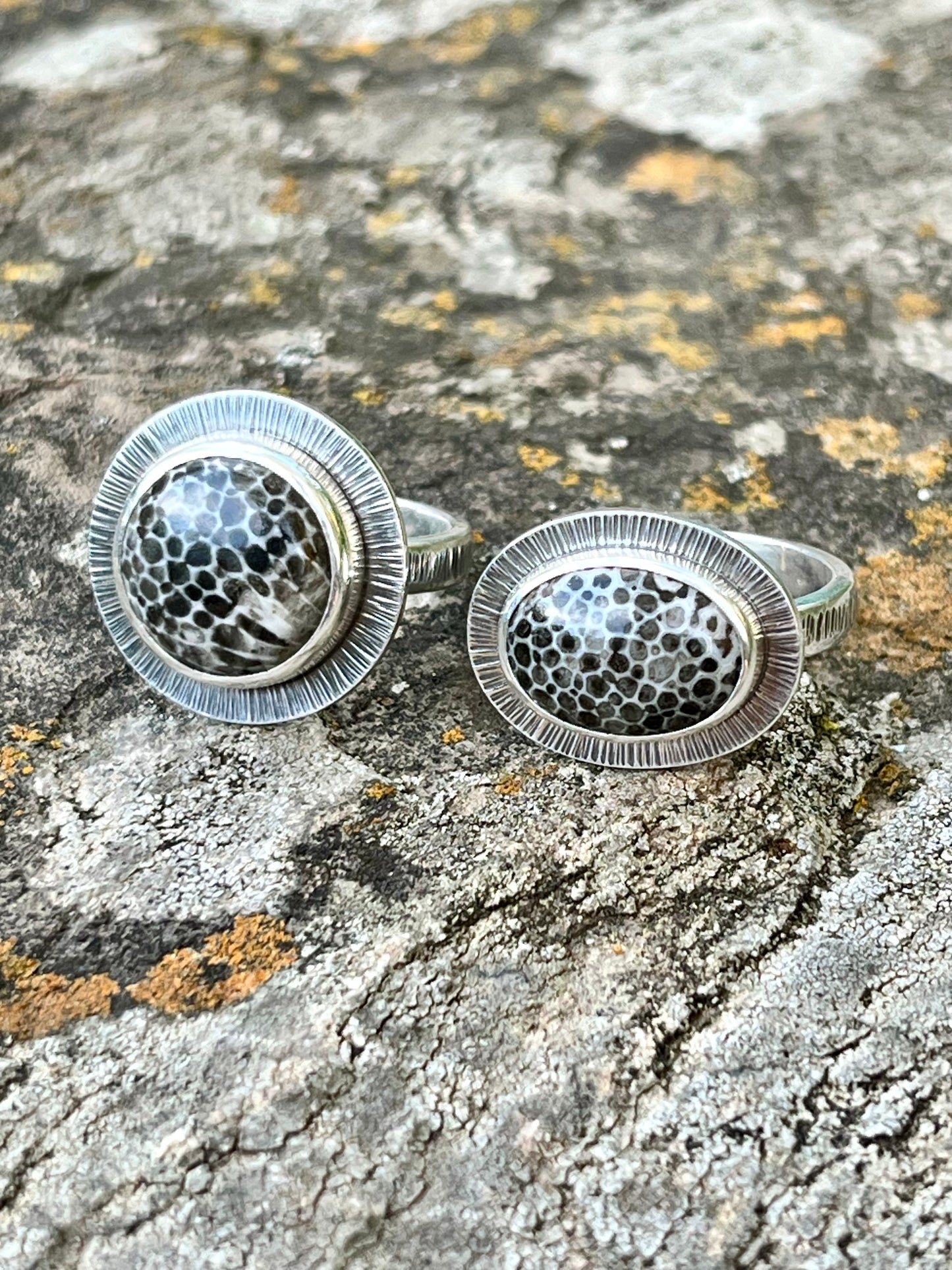 Oval Black Fossil Coral Ring