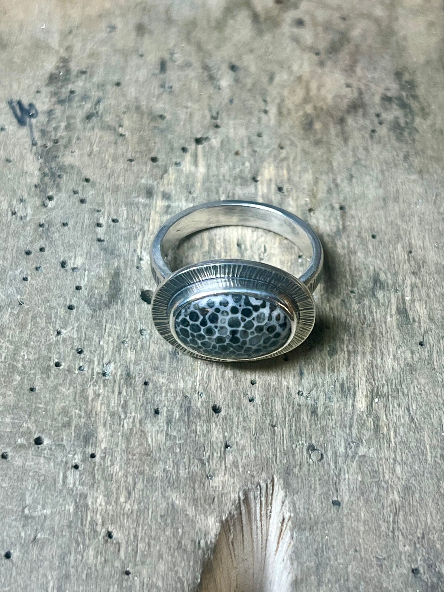 Oval Black Fossil Coral Ring